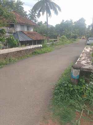 Plot Area in  Plot at Kottekkad – for Sale