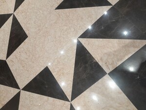 6+ BHK Independent House For Rent in Vasant Vihar