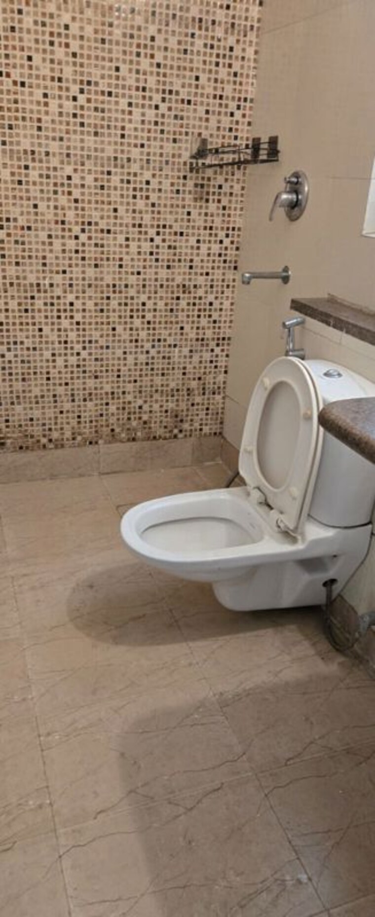 Bathroom, unitech-deerwood-chase 3 Bedroom 3000 Sq.Ft. Builder Floor In Nirvana Country Gurgaon 10399474