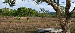 Plot For Sale in Burgula Village