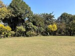 9 Acre Plot in Pataudi
