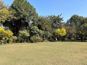  Plot For Sale in Pataudi