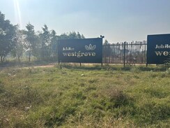 Plot For Sale in Sector 109