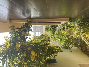 4 BHK Independent House – Garden View at Eldeco City Arcade, Iim Road - for Sale