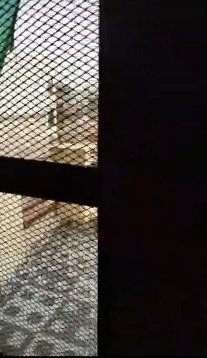 3 BHK Builder Floor – Exterior View View at Sector 4 - for Rent