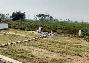Plot Area in  Plot at Bihta – for Sale