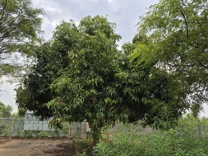 Plot Area in  Plot at Bharathi Nagar – for Sale