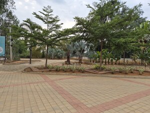 Plot Area in  Plot at Bharathi Nagar – for Sale