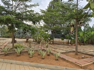 Plot Area in  Plot at Bharathi Nagar – for Sale