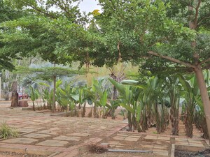  Plot – Garden View at Bharathi Nagar - for Sale
