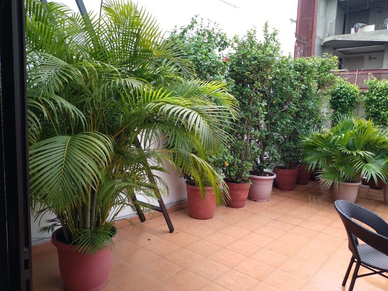 Garden, sector 49 4 Bedroom 300 Sq.Yd. Builder Floor In Sector 49 Gurgaon 10400261