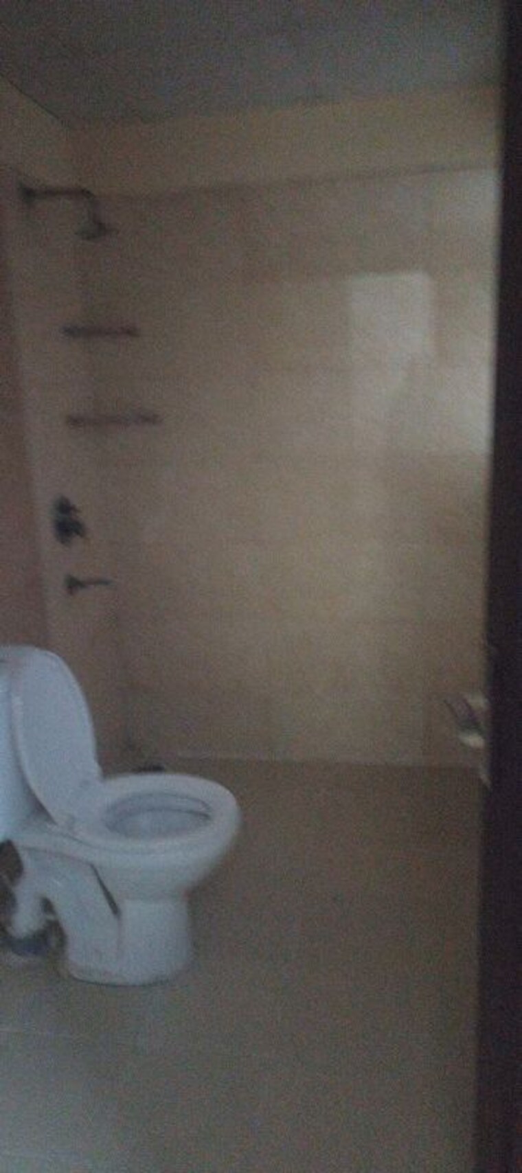 Bathroom, amrapali-silicon-city 3 Bedroom 1545 Sq.Ft. Apartment In Sector 76 Noida 10400342