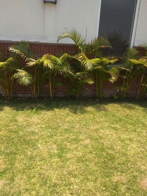 4 BHK Builder Floor – Garden View at Vasant Vihar - for Rent