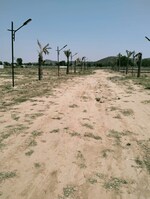 99 Sq.Yd. Plot in Sohna