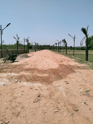 Plot Area in  Plot at Sohna – for Sale