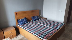1 RK Apartment For Rent in Paramount Golf Forest Studio Apartments - OAK Towe, Zeta I Greater Noida