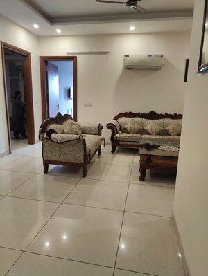 Living Room in 3 BHK Builder Floor at Sector 9 – for Rent