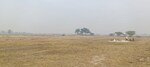 800 Sq.Ft. Plot in Deva Road