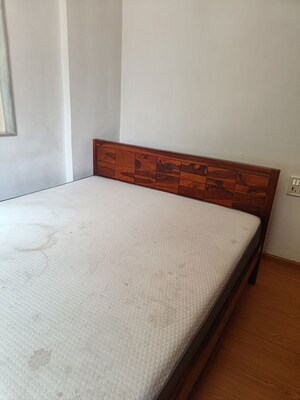 1 BHK Apartment For Rent in Colaba