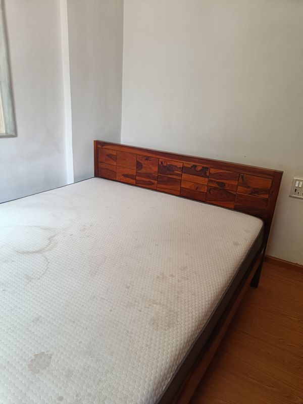 1 BHK + Store Room Apartment For Rent in Colaba