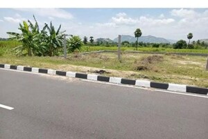 Plot Area in  Land at Tirupati – for Sale