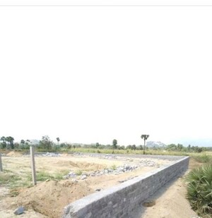 Plot Area in  Land at Tirupati – for Sale