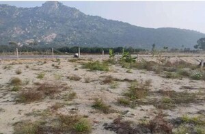  Land For Sale in Tirupati