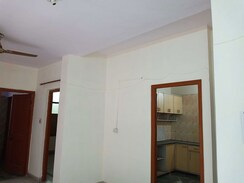 4 BHK + Pooja Room,Study Room,Extra Room,Basement Apartment For Rent in Sector 24