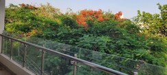 3 BHK Builder Floor For Rent in Sushant Lok III
