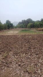 1089 Sq.Ft. Plot in Old Panvel