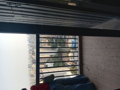 2 BHK Apartment For Rent in Damji Shamji Mahavir Spring Tulip Phase 1