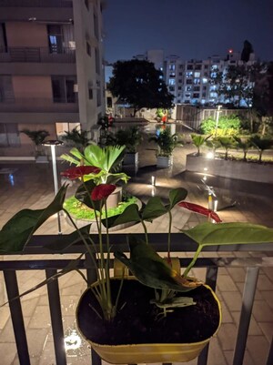 Gym in 2 BHK Apartment at Arvind Skylands, Jakkuru – for Rent
