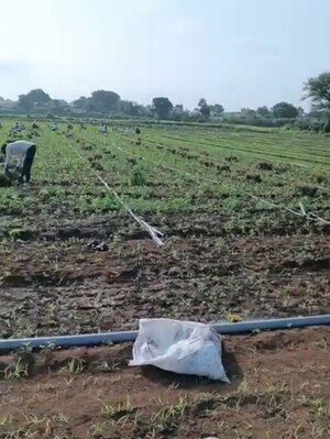 Plot Area in  Plot at Chandwad – for Sale