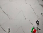 2 BHK 1250 Sq.Ft. Builder Floor in Sector 23
