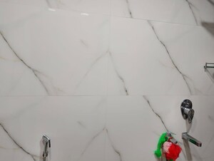2 BHK Builder Floor For Rent in Sector 23