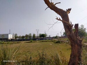  Plot For Sale in Modinagar