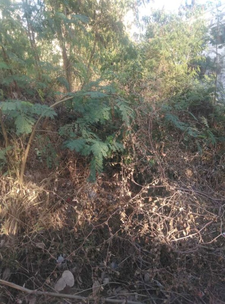 undefined, brickcem-arckadia  600 Sq.Yd. Plot In Kismatpur Hyderabad 10402075