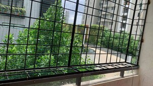 2 BHK Apartment For Rent in CMRS Sunny Dew, Mahadevpura