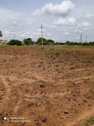 Plot Area in  Land at Neralu Sandal Valley, Gauribidanur – for Sale