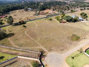  Plot For Sale in Subhash Nagar