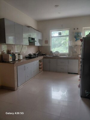 Kitchen in 4 BHK Builder Floor at Sector 15 ii – for Rent