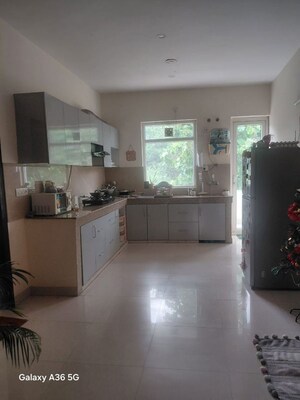 Kitchen in 4 BHK Builder Floor at Sector 15 ii – for Rent