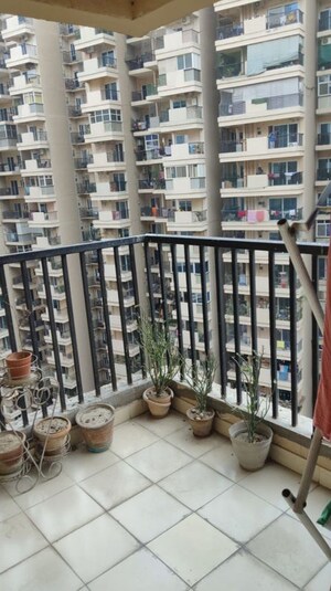 Gym in 2 BHK Apartment at Gaur City 2 - 14th Avenue, Sector 16c Greater Noida – for Rent