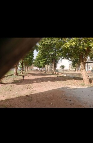 Plot Area in  Plot at Rohta – for Sale