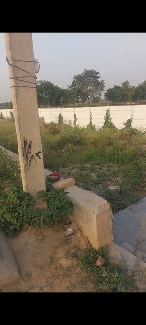 Plot Area in  Plot at Saimari – for Sale