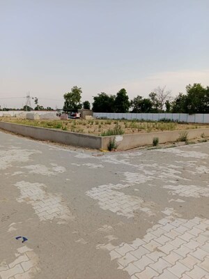 Plot Area in  Plot at Rohta – for Sale