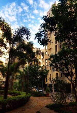 2 BHK Apartment – Exterior View View at Ambegaon Budruk - for Rent