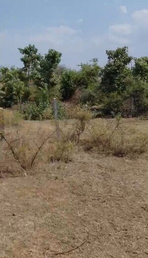 Plot Area in  Plot at Laharpur – for Sale
