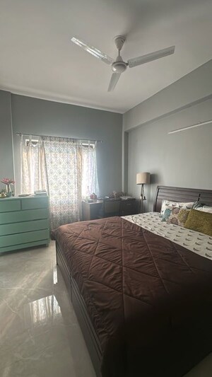 3.5 BHK Apartment For Rent in Ardee City Palm Grove Heights, Sector 52