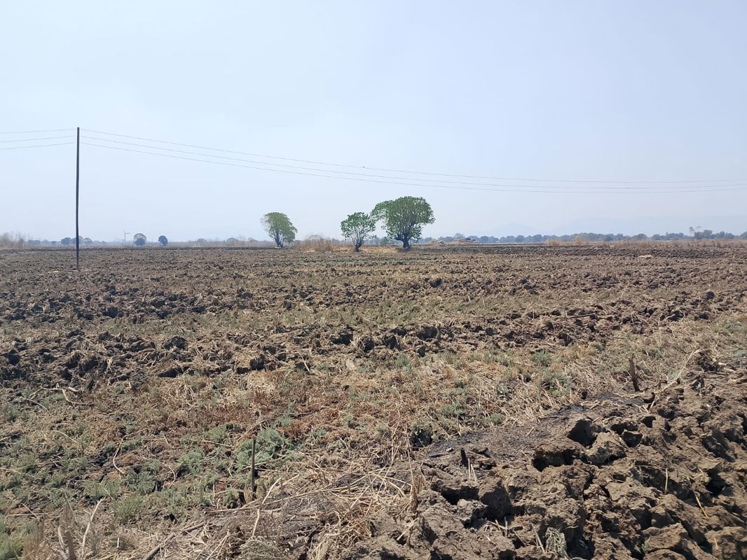 Plot For Sale in Vindhane